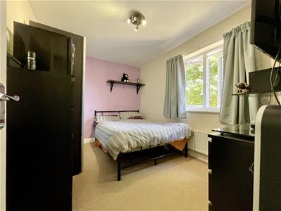 Picture 21